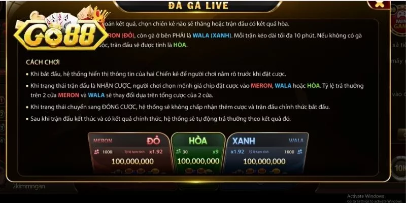 Lưu ý khi tham gia cá cược đá gà tại GO88